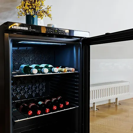 דירה Luxury 143M2 2-Bedroom Penthouse Loft With Ac & Elevator - Brivibas Street, Central Riga ריגה